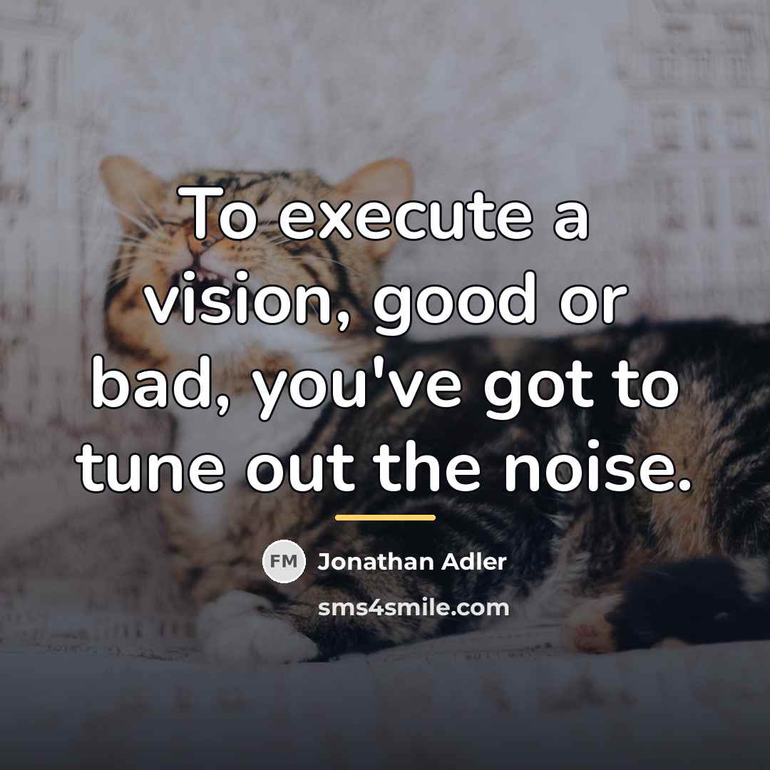 “To execute a vision, good or bad, you've got to…” quote by Jonathan Adler