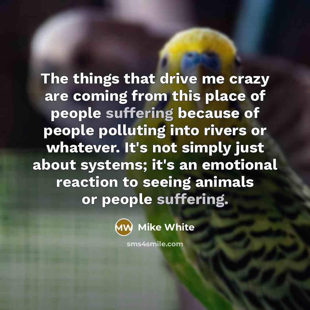 “The things that drive me crazy are coming from this…” quote by Mike White
