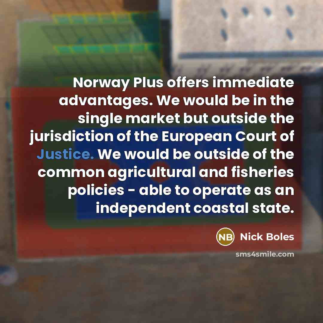 “Norway Plus offers immediate advantages. We would be in the…” quote by Nick Boles