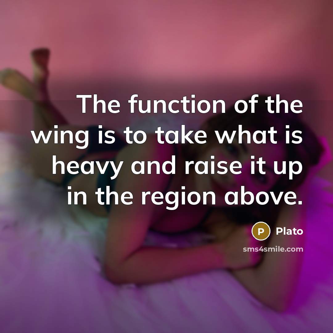 “The function of the wing is to take what is…” quote by Plato