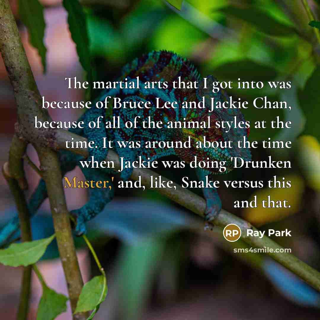 “The martial arts that I got into was because of…” quote by Ray Park