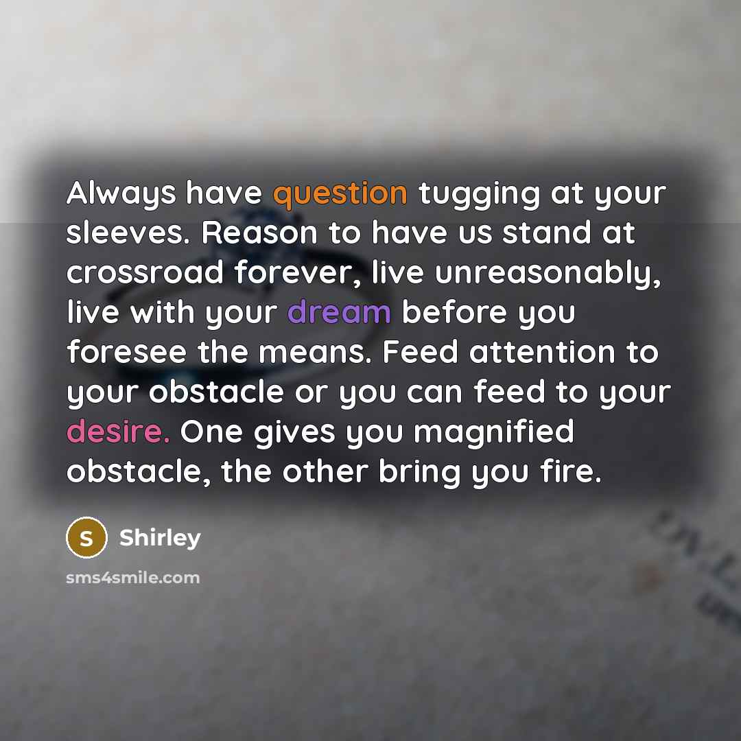 “Always have question tugging at your sleeves. Reason to have us stand at crossroad forever, live unreasonably, live with your dream before you foresee the means. Feed attention to your obstacle or you can feed to your desire. One gives you magnified obstacle, the other bring you fire.” quote by Shirley