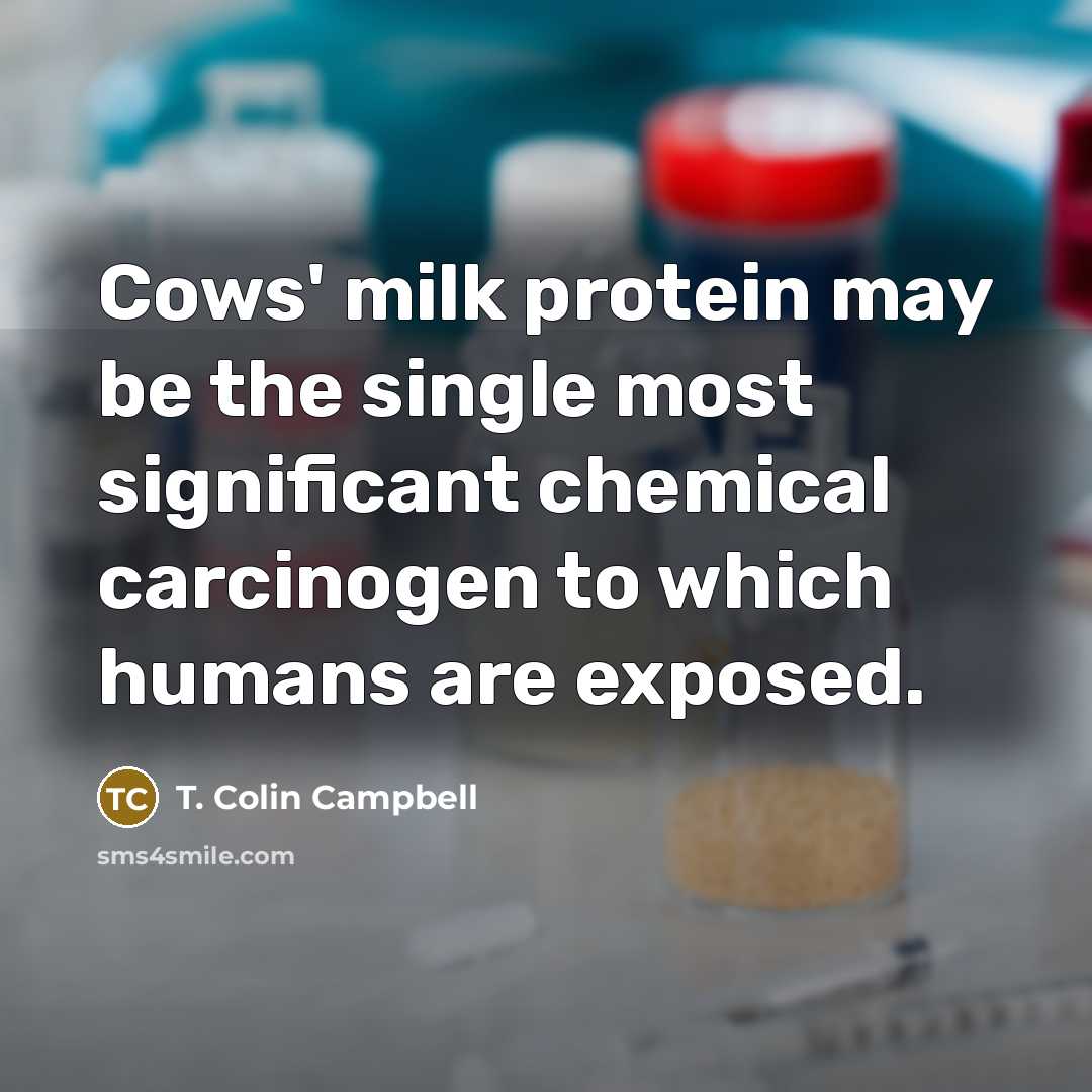 “Cows' milk protein may be the single most significant chemical…” quote by T. Colin Campbell