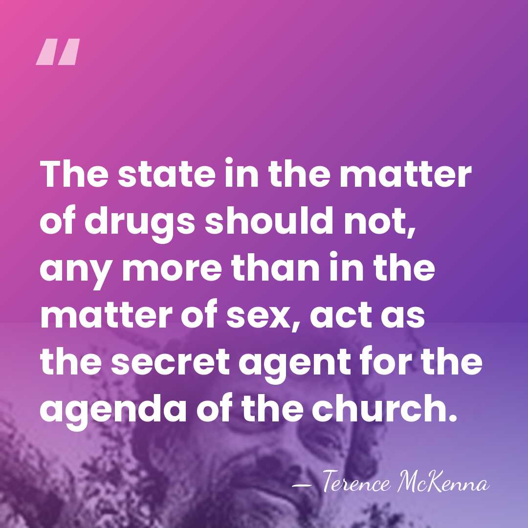 The state in the matter of drugs should not, any more than&hellip; - Terence McKenna