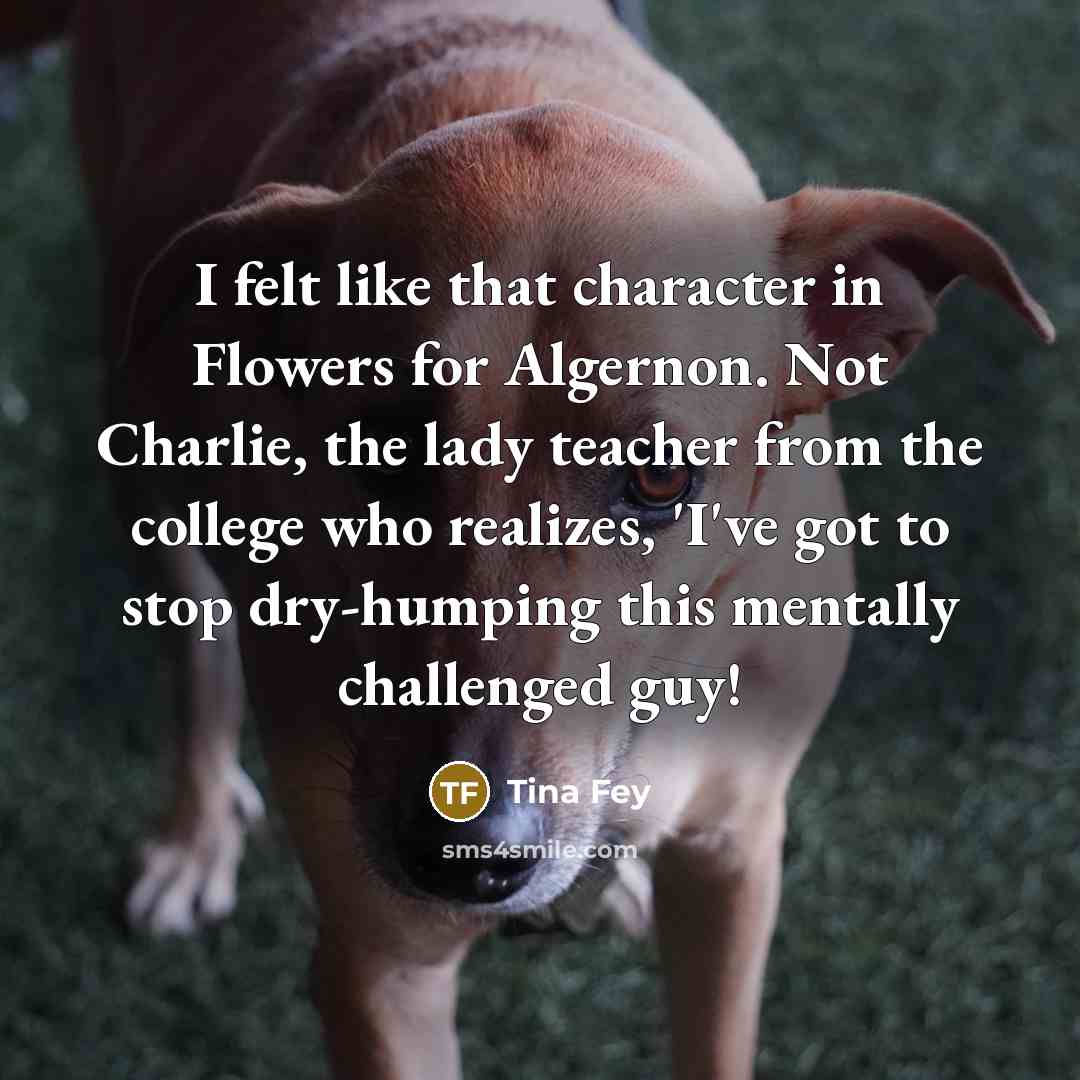 “I felt like that character in Flowers for Algernon. Not…” quote by Tina Fey