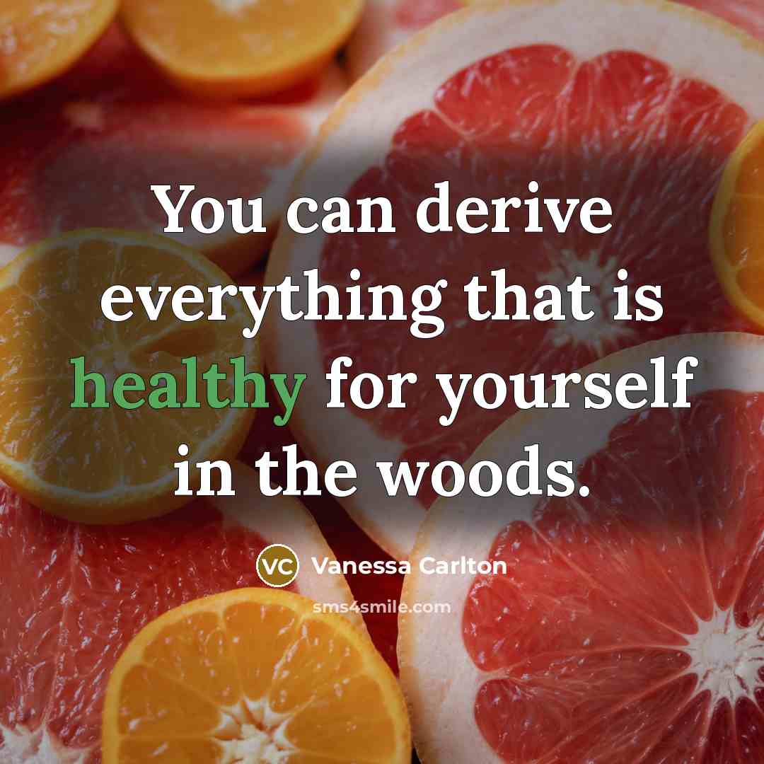 “You can derive everything that is healthy for yourself in the woods.” quote by Vanessa Carlton