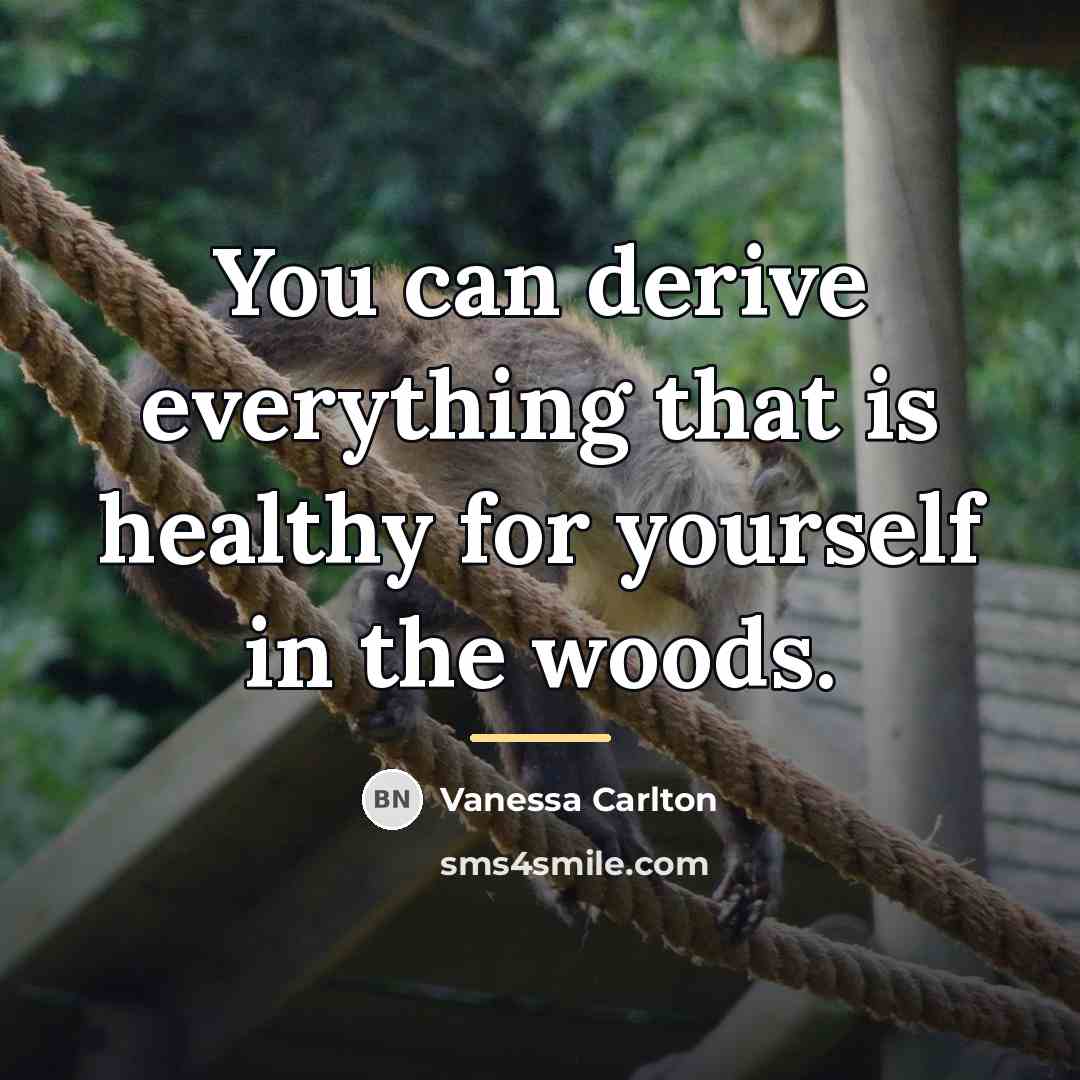 “You can derive everything that is healthy for yourself in…” quote by Vanessa Carlton