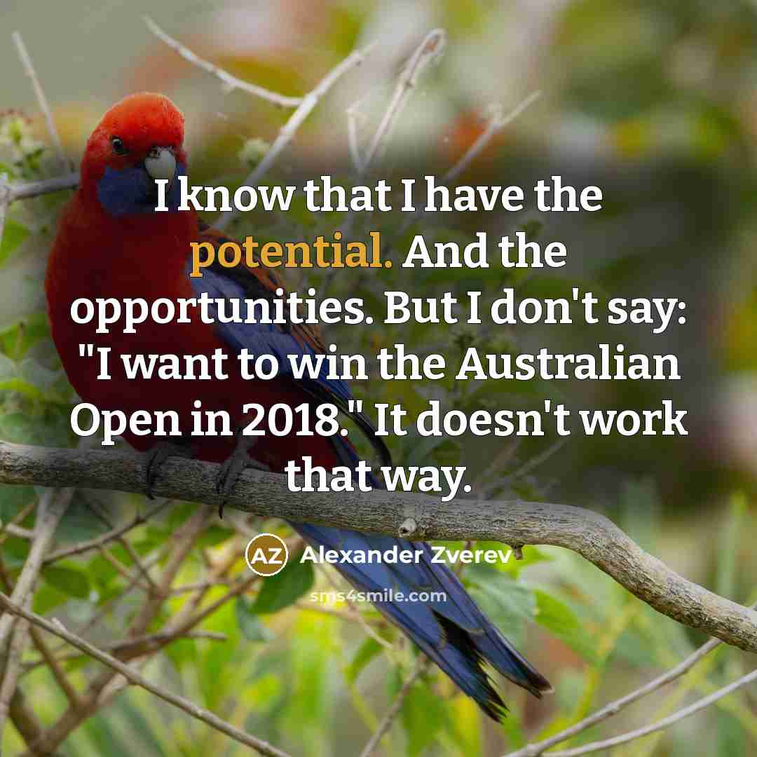 “I know that I have the potential. And the opportunities.…” quote by Alexander Zverev