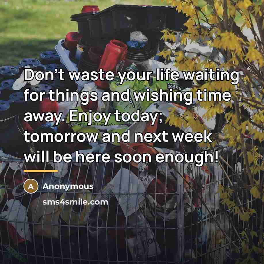 “Don't waste your life waiting for things and wishing time…” quote by Anonymous