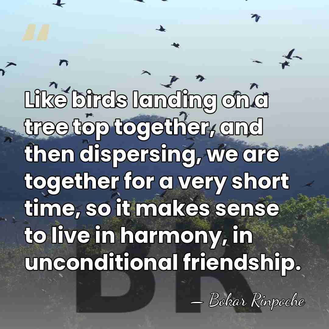 Like birds landing on a tree top together, and then dispersing, we&hellip; - Bokar Rinpoche