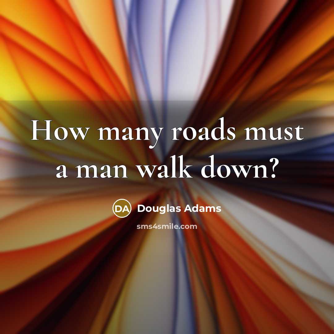 “How many roads must a man walk down?…” quote by Douglas Adams