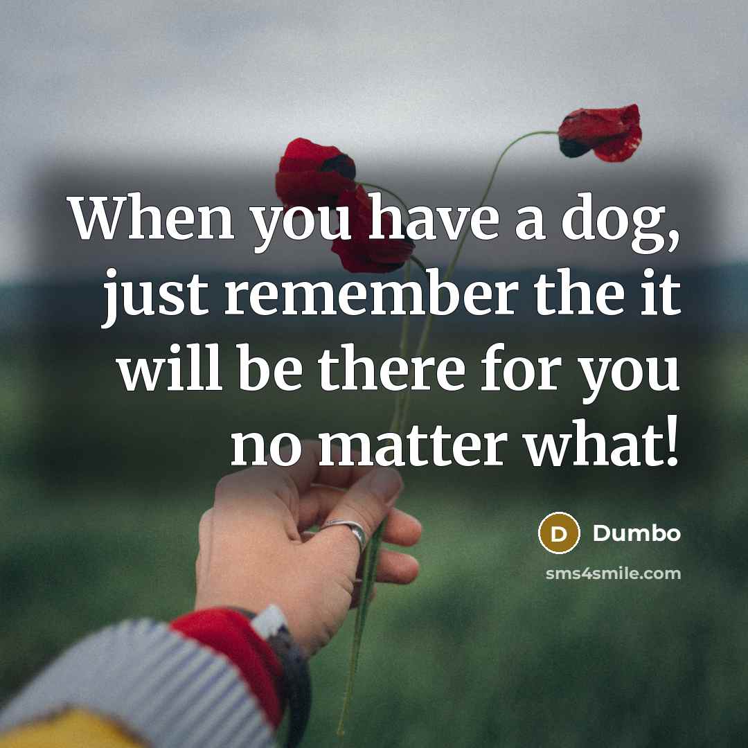“When you have a dog, just remember the it will…” quote by Dumbo