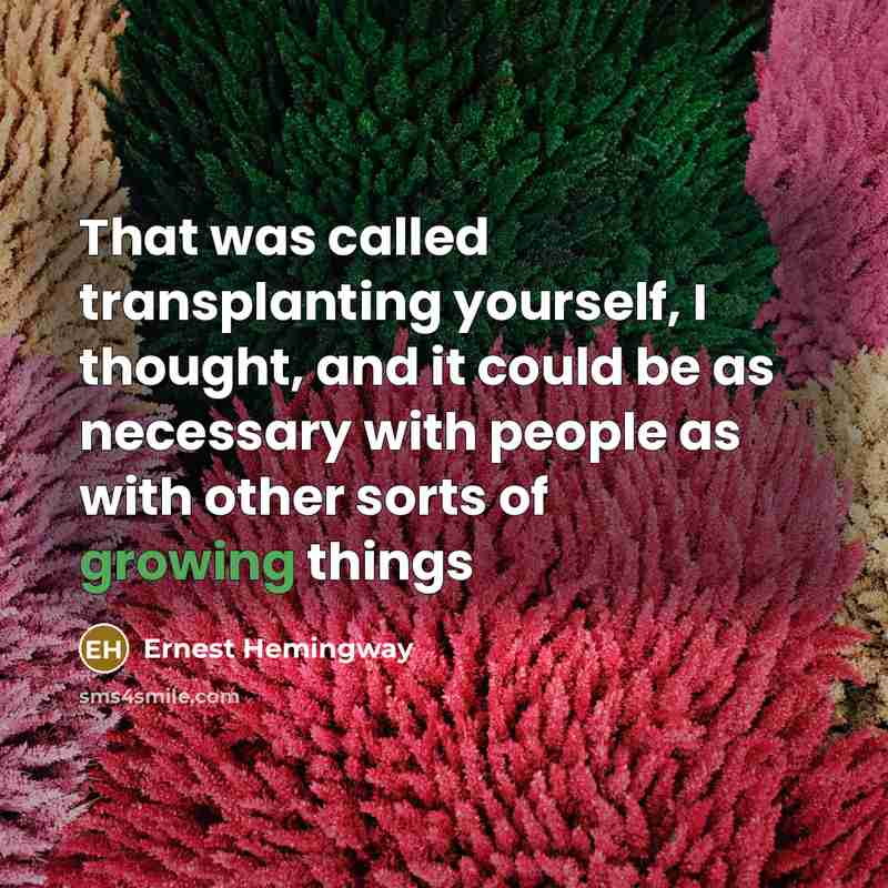 “That was called transplanting yourself, I thought, and it could be as necessary with people as with other sorts of growing things” quote by Ernest Hemingway