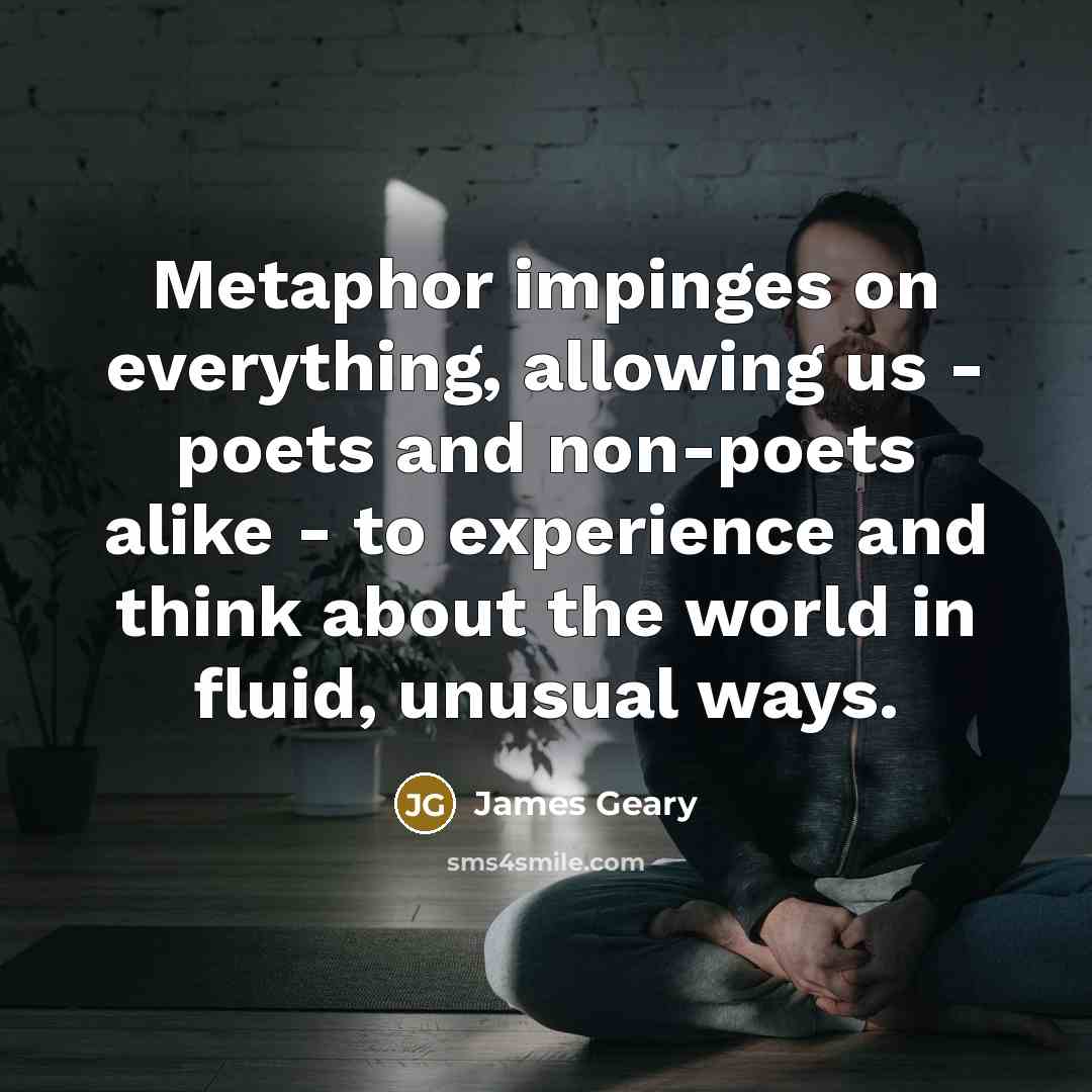 “Metaphor impinges on everything, allowing us - poets and non-poets…” quote by James Geary