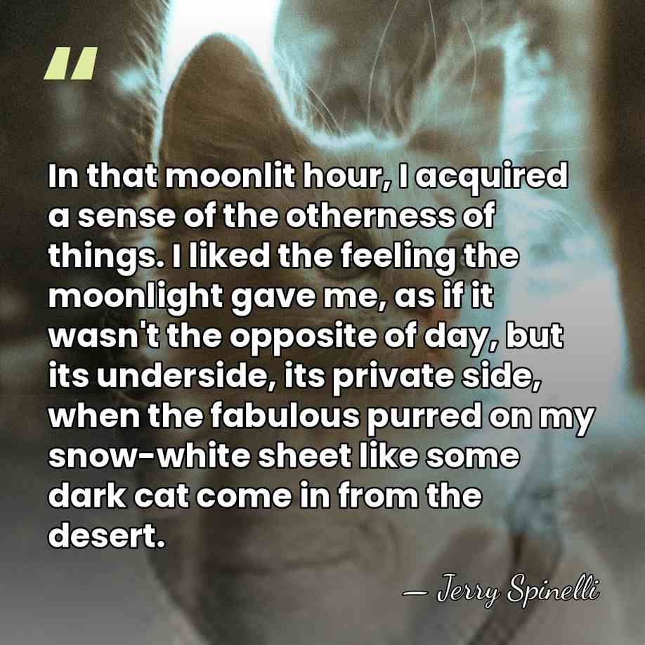 In that moonlit hour, I acquired a sense of the otherness of&hellip; - Jerry Spinelli