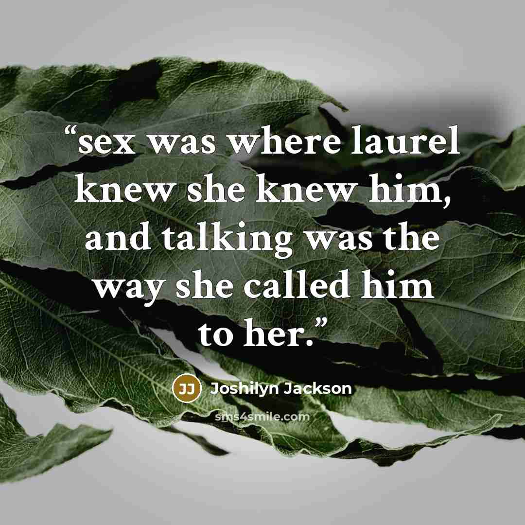 “sex was where laurel knew she knew him, and talking was the way she called him to her.” quote by Joshilyn Jackson