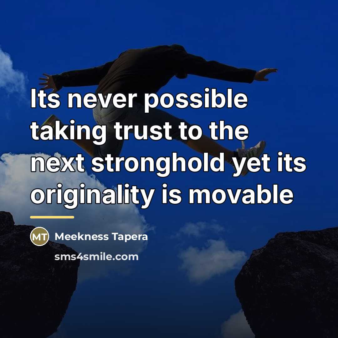 “Its never possible taking trust to the next stronghold yet…” quote by Meekness Tapera