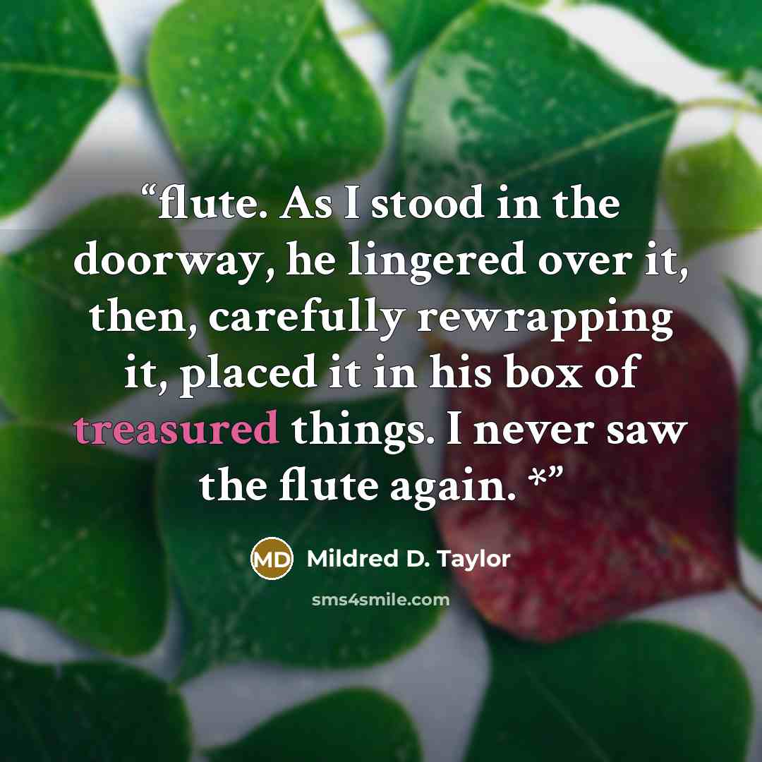 “flute. As I stood in the doorway, he lingered over it, then, carefully rewrapping it, placed it in his box of treasured things. I never saw the flute again. *” quote by Mildred D. Taylor