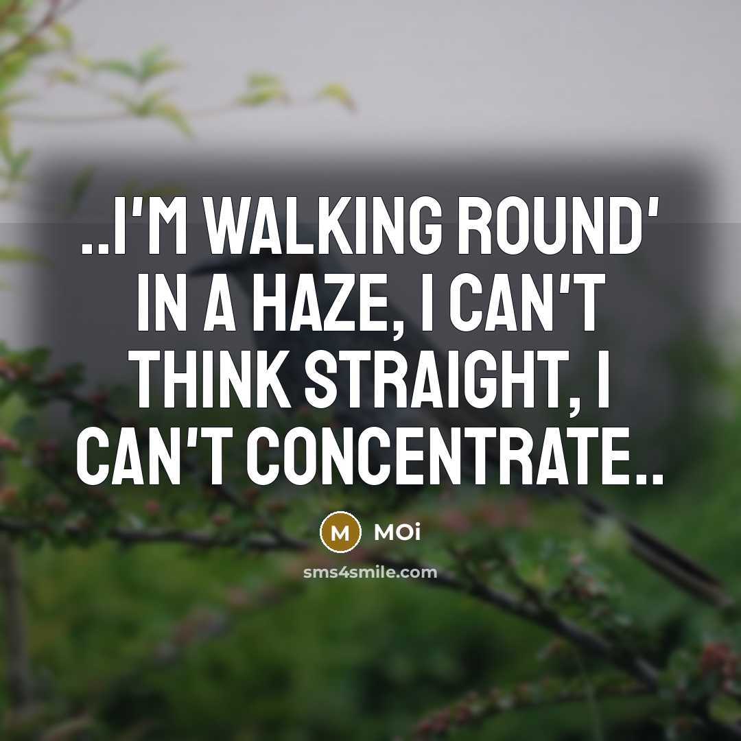 “..I'm walking round' in a haze, I can't think straight, I can't concentrate..” quote by Moi