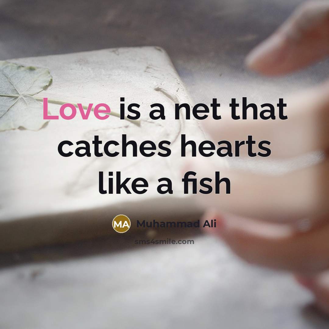 “Love is a net that catches hearts like a fish…” quote by Muhammad Ali