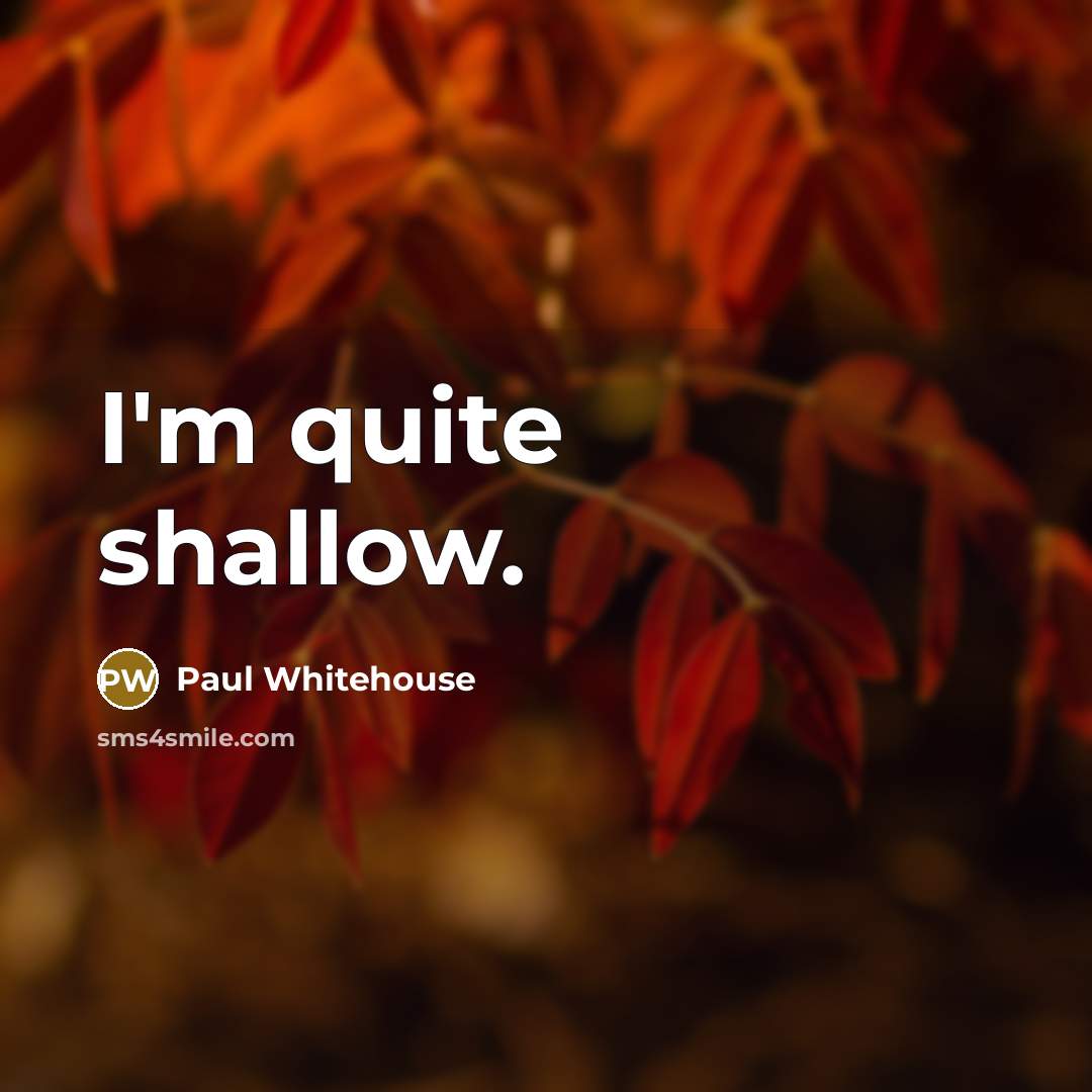 “I'm quite shallow.…” quote by Paul Whitehouse