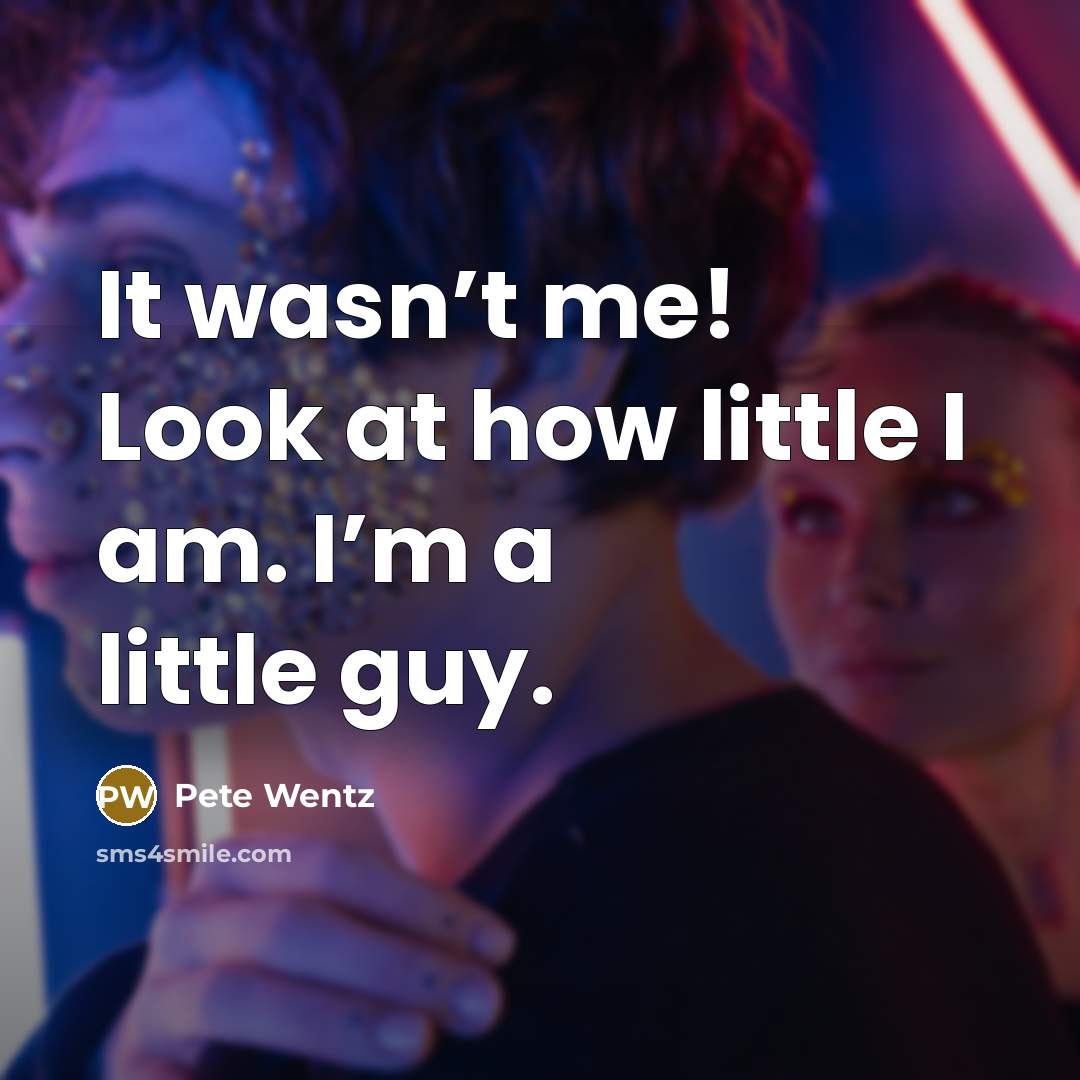 “It wasn’t me! Look at how little I am. I’m…” quote by Pete Wentz