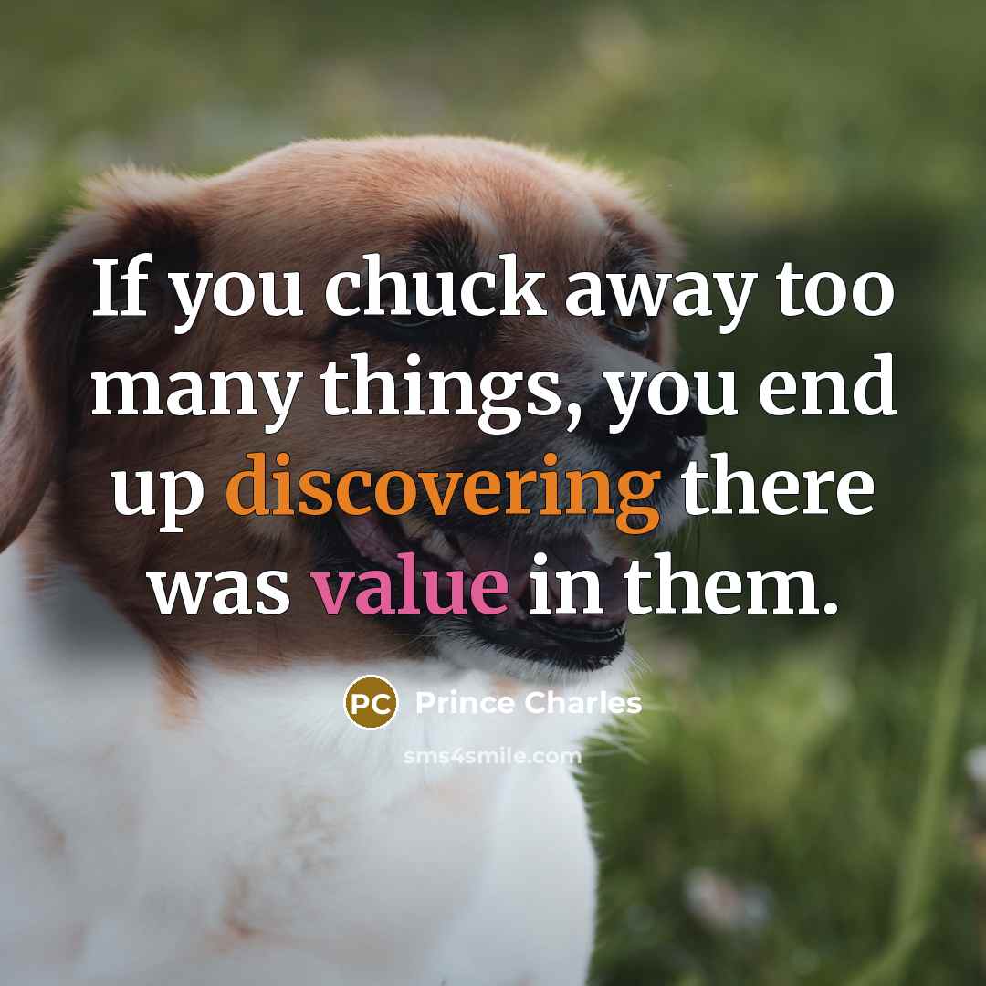 “If you chuck away too many things, you end up…” quote by Prince Charles