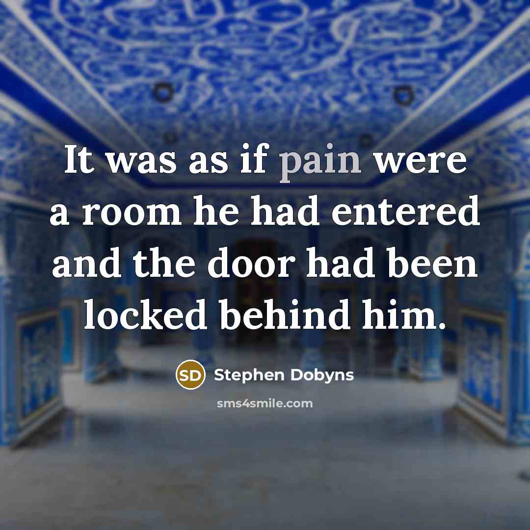 “It was as if pain were a room he had…” quote by Stephen Dobyns