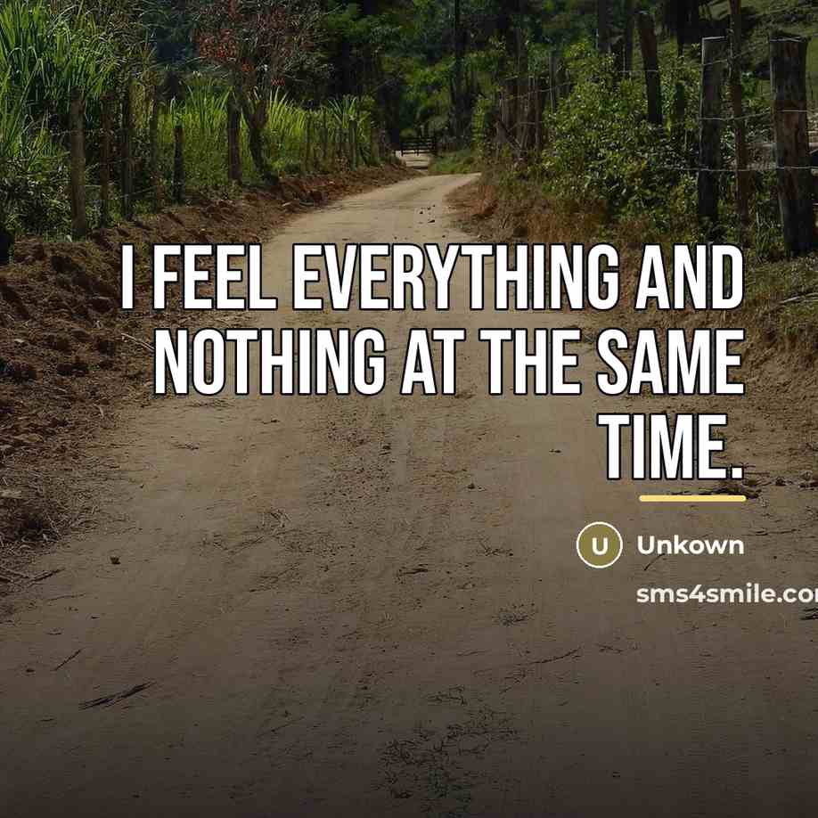 “I feel everything and nothing at the same time.…” quote by Unkown