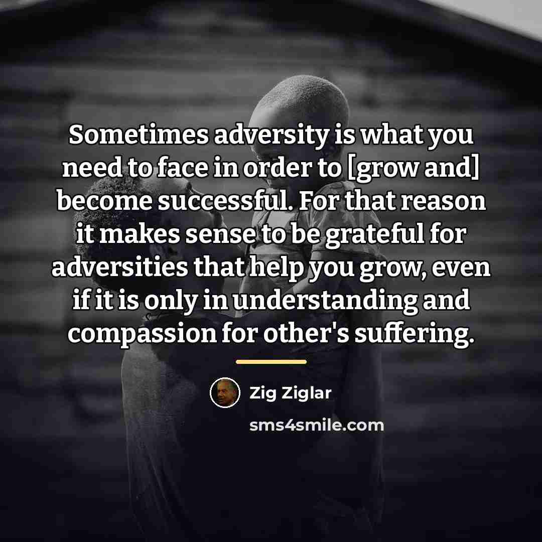 “Sometimes adversity is what you need to face in order…” quote by Zig Ziglar