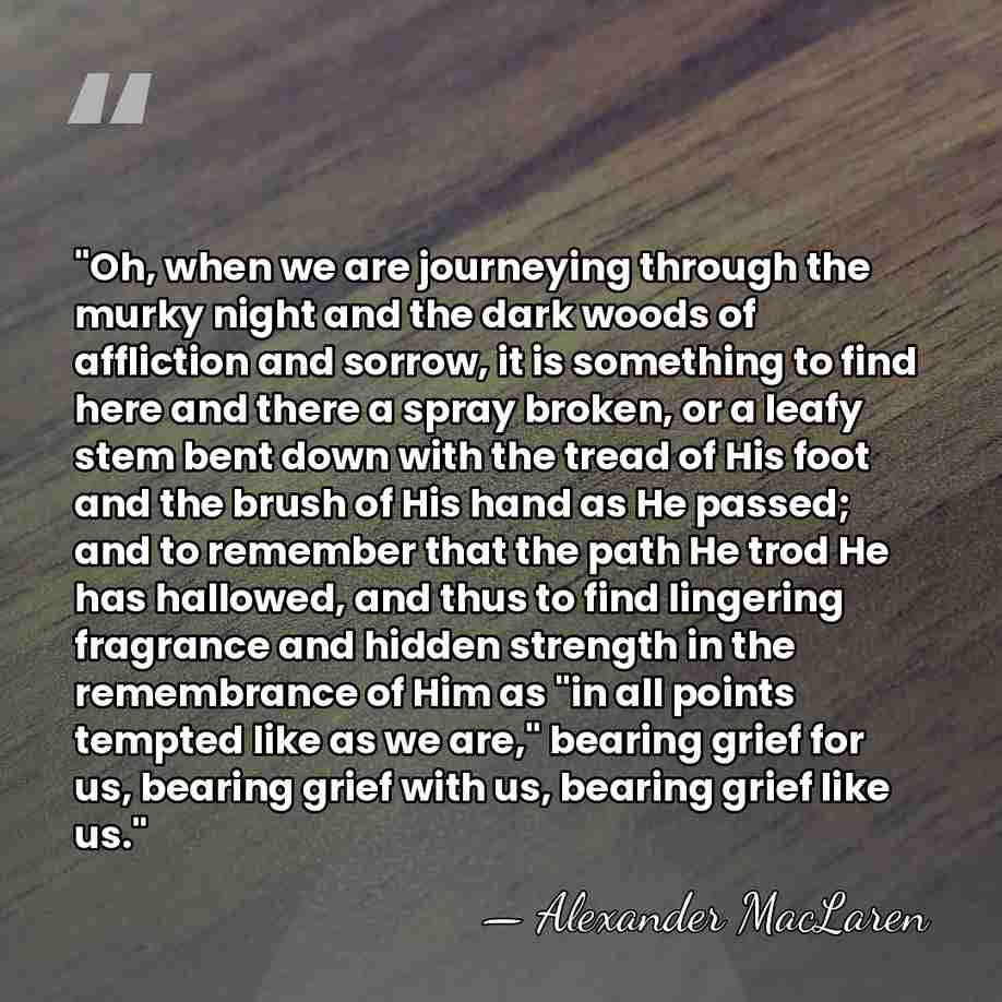 "Oh, when we are journeying through the murky night and the dark&hellip; - Alexander MacLaren
