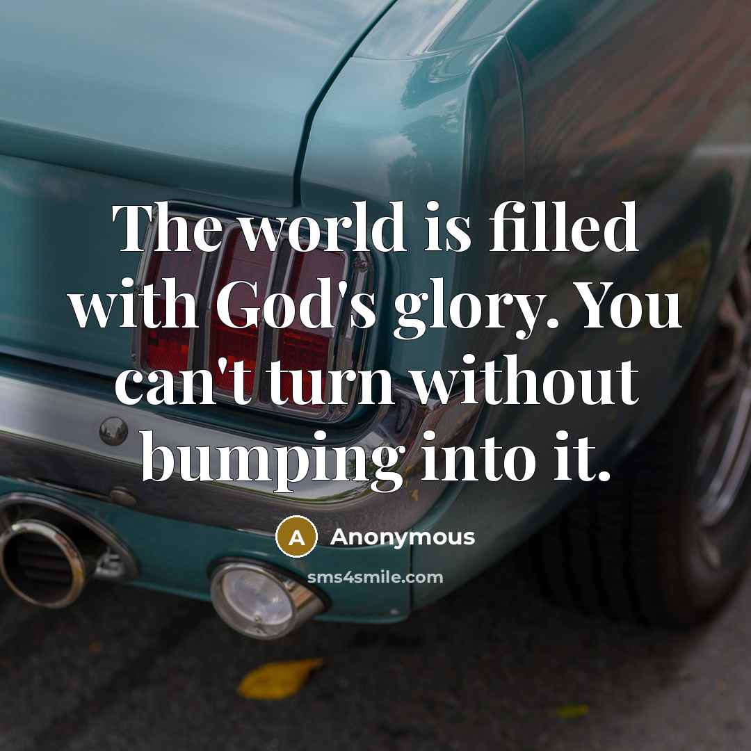 “The world is filled with God's glory. You can't turn…” quote by Anonymous