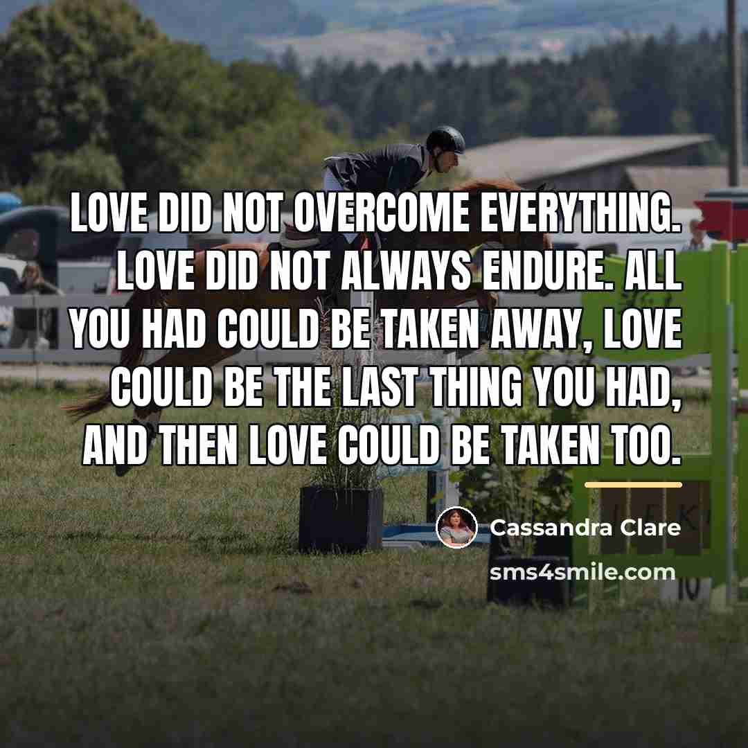 “Love did not overcome everything. Love did not always endure.…” quote by Cassandra Clare