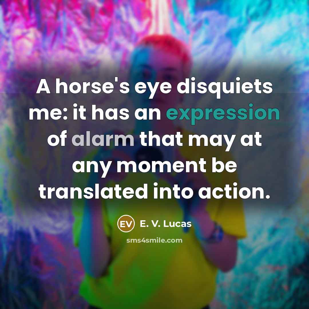 “A horse's eye disquiets me: it has an expression of…” quote by E. V. Lucas