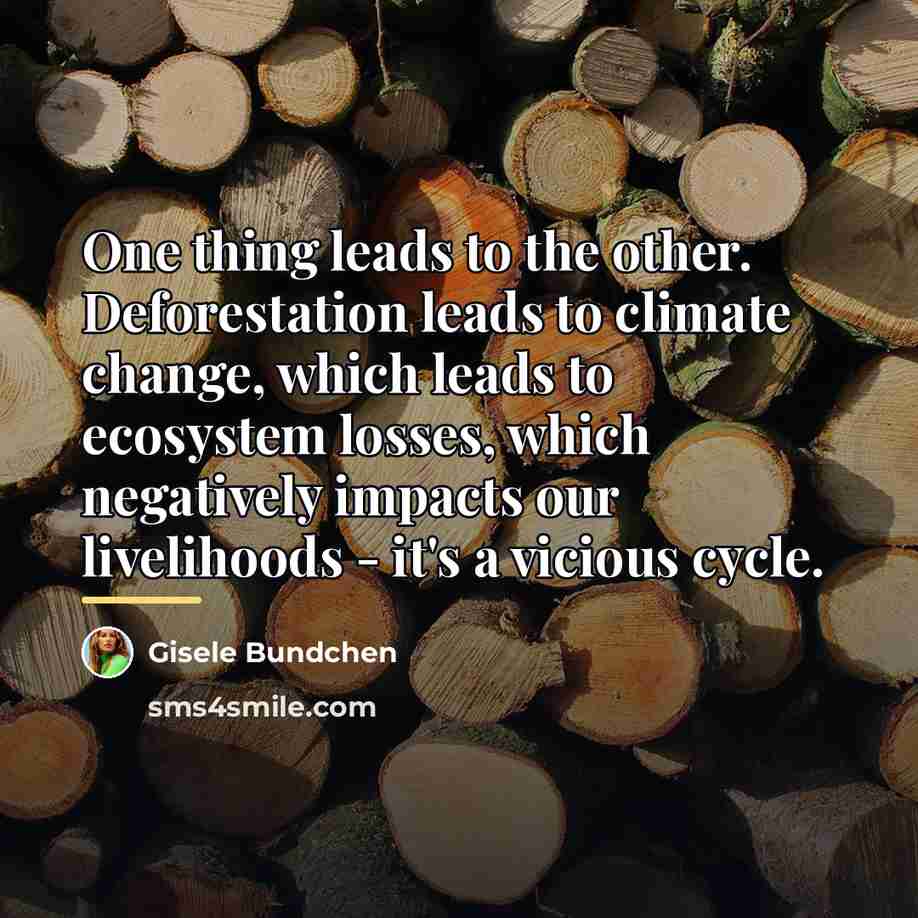 “One thing leads to the other. Deforestation leads to climate…” quote by Gisele Bundchen