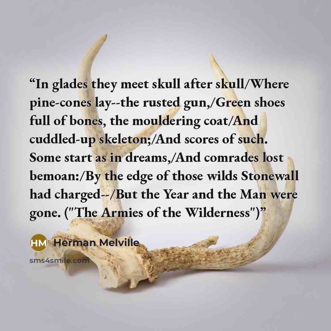 “In glades they meet skull after skull/Where pine-cones lay--the rusted gun,/Green shoes full of bones, the mouldering coat/And cuddled-up skeleton;/And scores of such. Some start as in dreams,/And comrades lost bemoan:/By the edge of those wilds Stonewall had charged--/But the Year and the Man…” quote by Herman Melville