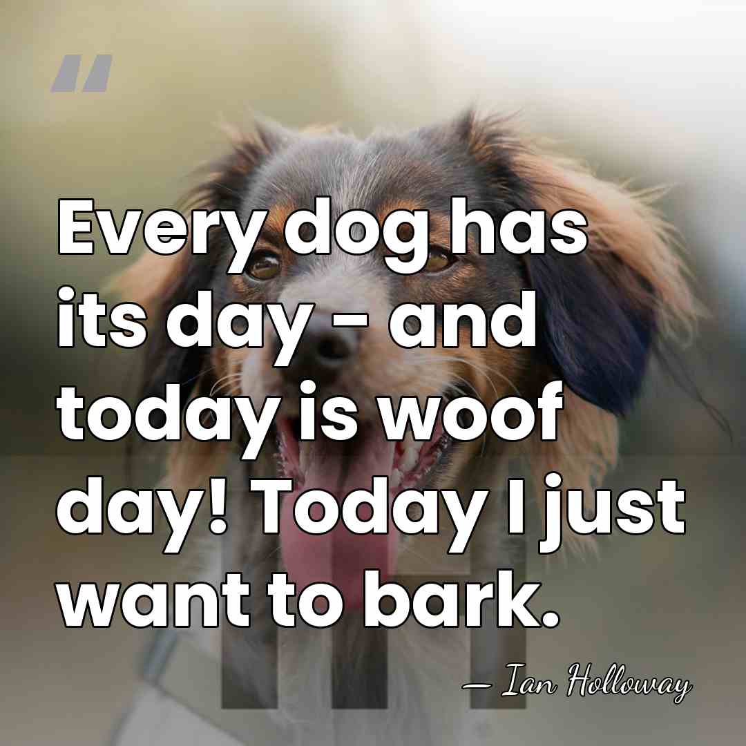 Every dog has its day - and today is woof day! Today&hellip; - Ian Holloway