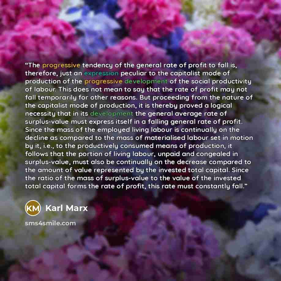 “The progressive tendency of the general rate of profit to fall is, therefore, just an expression peculiar to the capitalist mode of production of the progressive development of the social productivity of labour. This does not mean to say that the rate of profit may not fall temporarily for other…” quote by Karl Marx