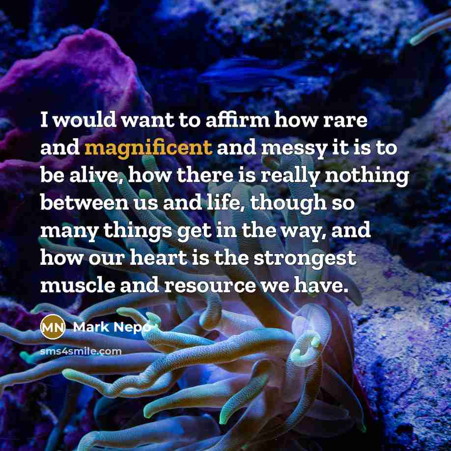 “I would want to affirm how rare and magnificent and…” quote by Mark Nepo