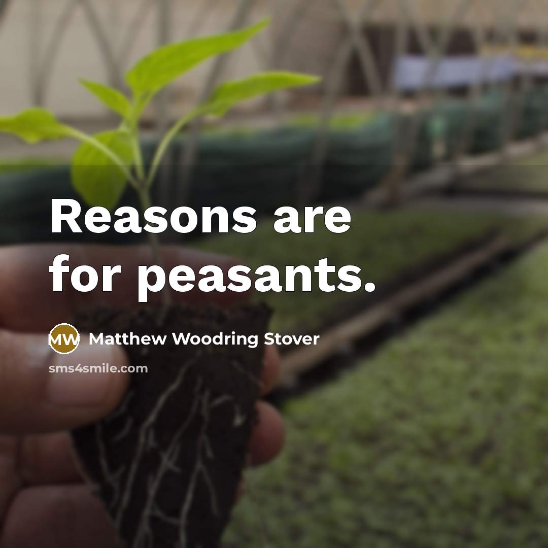 “Reasons are for peasants.…” quote by Matthew Woodring Stover