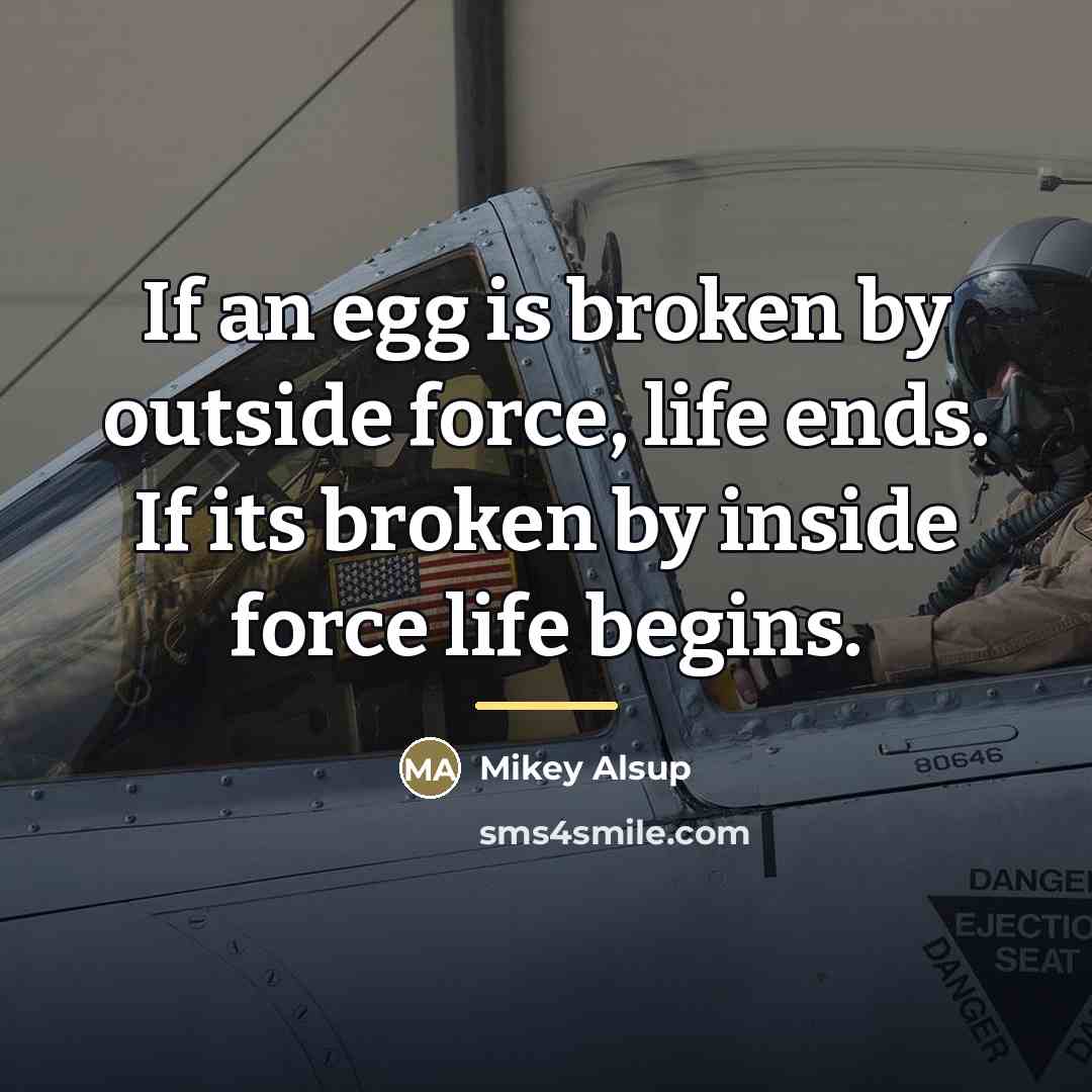 “If an egg is broken by outside force, life ends.…” quote by Anonymous