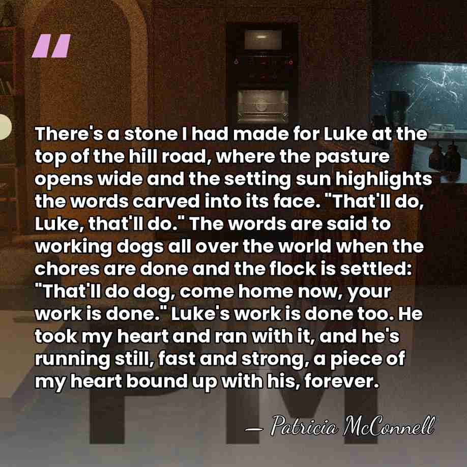 There's a stone I had made for Luke at the top of&hellip; - Patricia McConnell