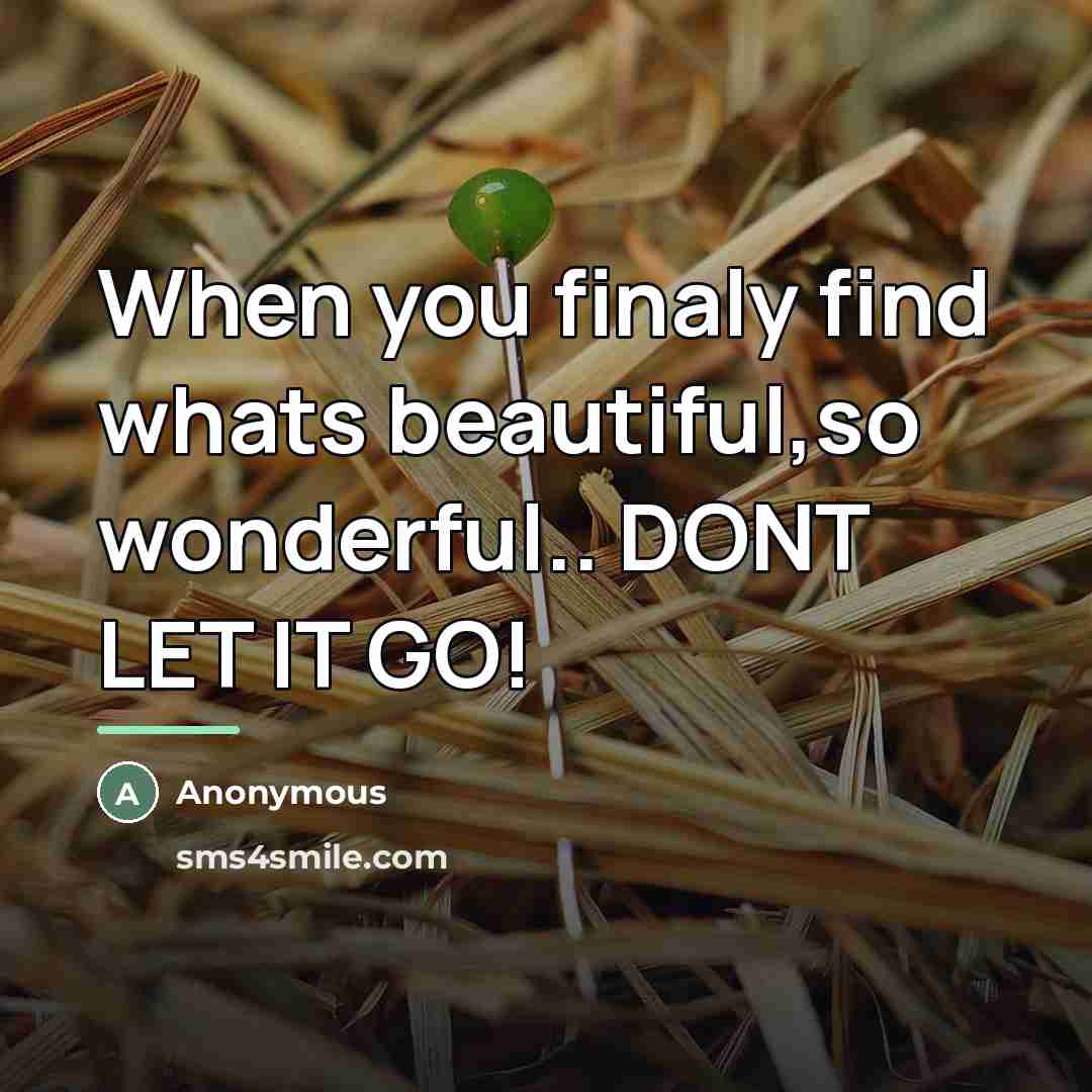“When you finaly find whats beautiful,so wonderful.. DONT LET IT…” quote by Anonymous