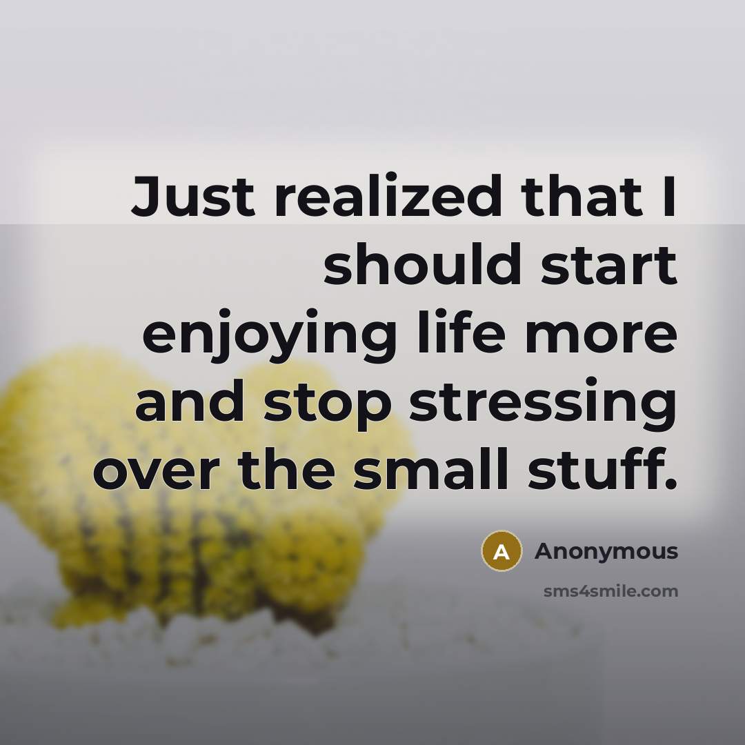 “Just realized that I should start enjoying life more and stop stressing over the small stuff.” quote by Anonymous