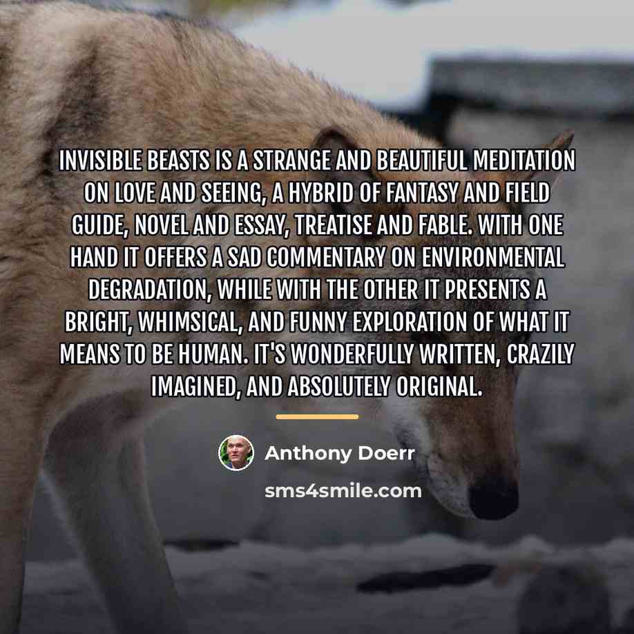 “Invisible Beasts is a strange and beautiful meditation on love…” quote by Anthony Doerr