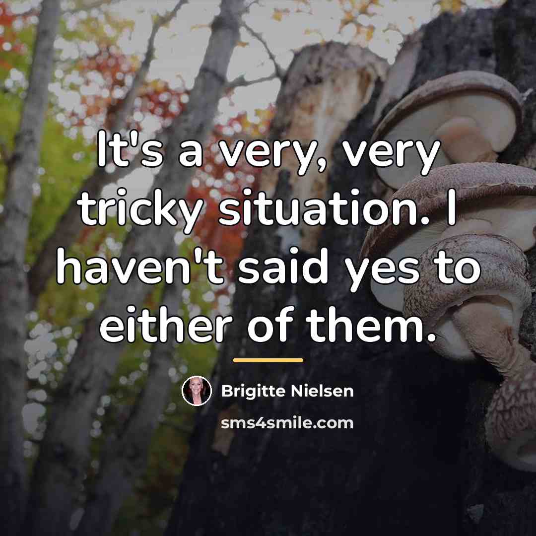“It's a very, very tricky situation. I haven't said yes…” quote by Brigitte Nielsen