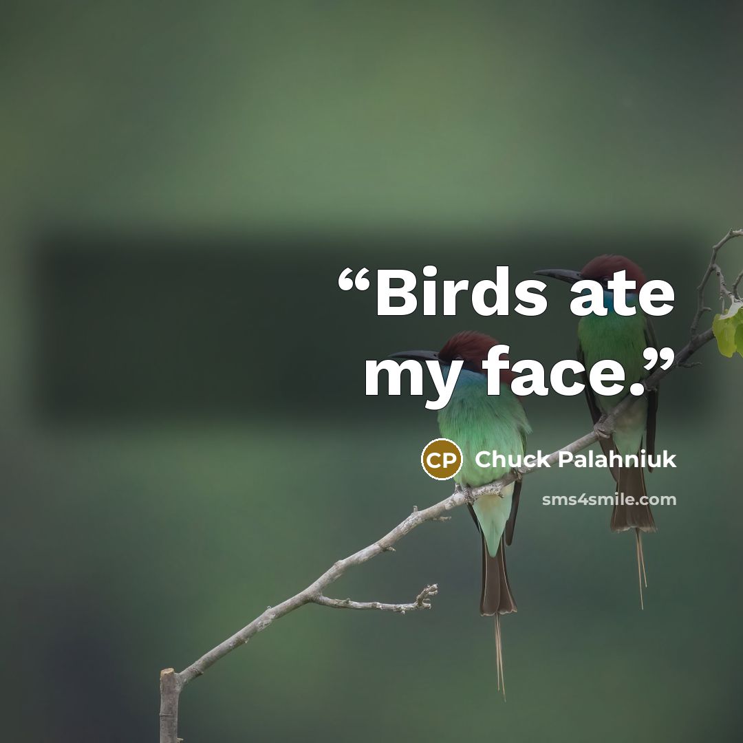 “Birds ate my face.” quote by Chuck Palahniuk