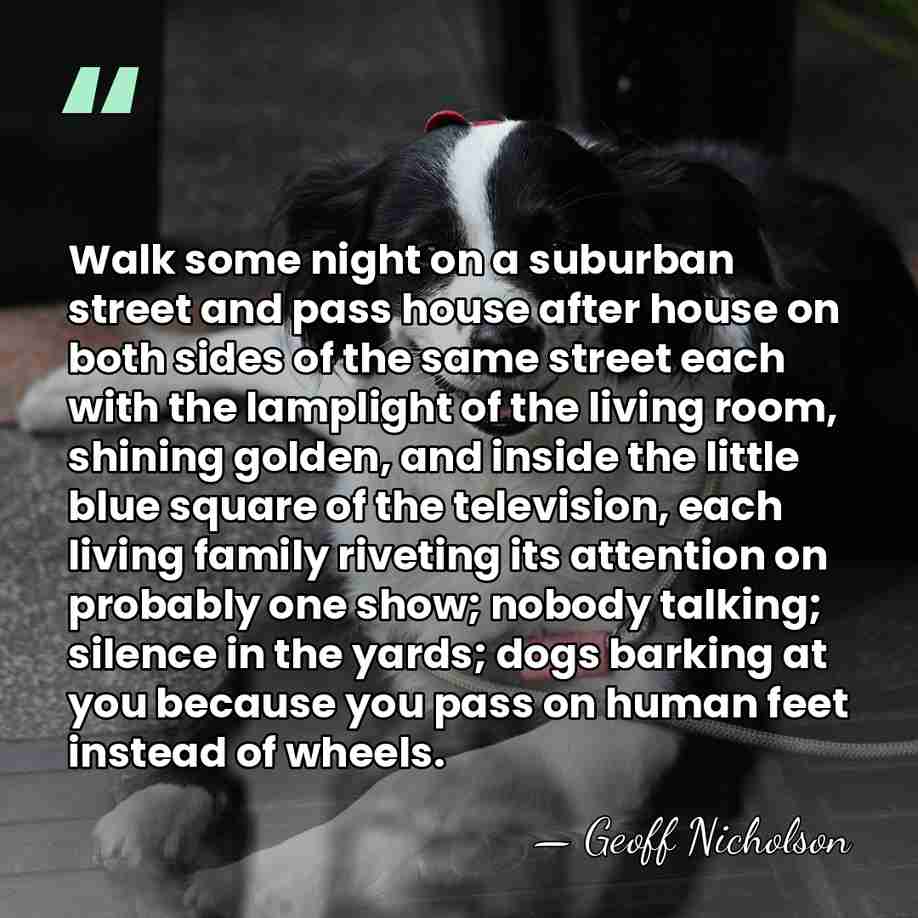Walk some night on a suburban street and pass house after house&hellip; - Geoff Nicholson