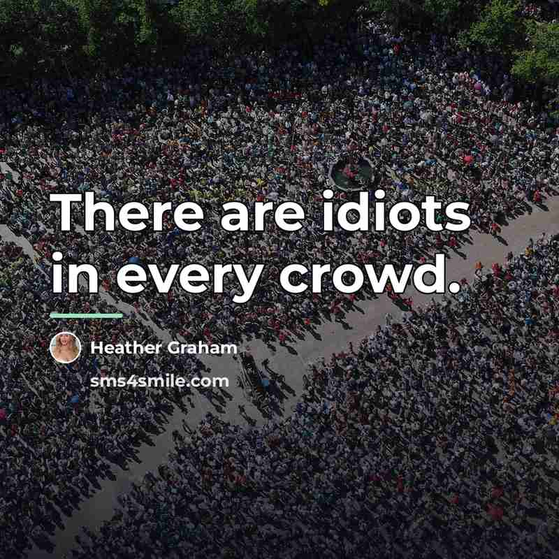 “There are idiots in every crowd.…” quote by Heather Graham