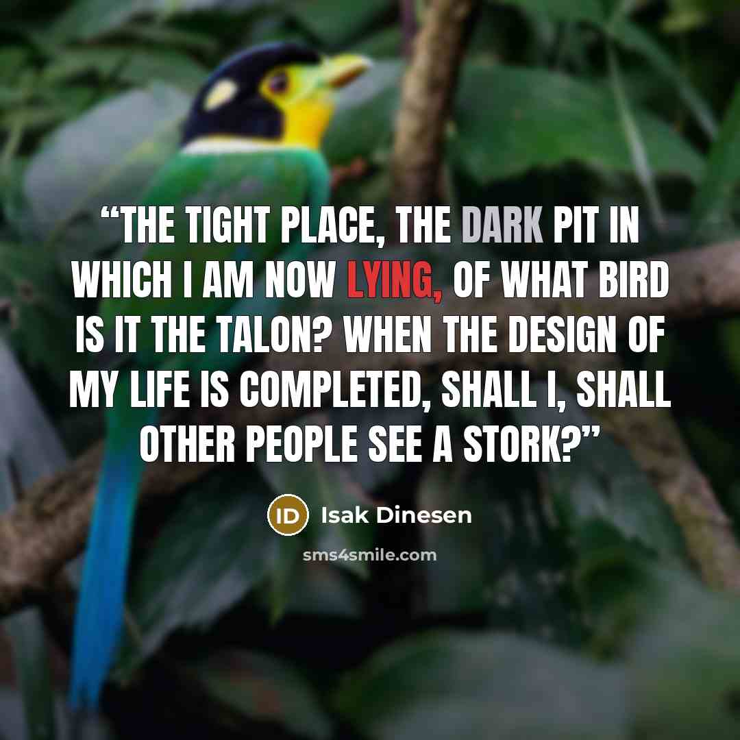 “The tight place, the dark pit in which I am now lying, of what bird is it the talon? When the design of my life is completed, shall I, shall other people see a stork?” quote by Isak Dinesen